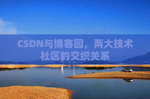 CSDN与博客园，两大技术社区的交织关系